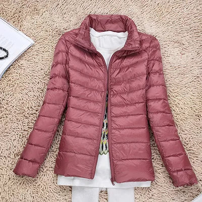 Dark Pink / 7XL (28)